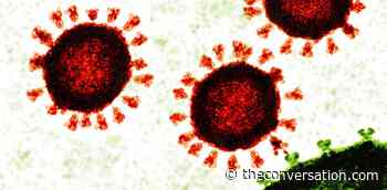 How can scientists update coronavirus vaccines for omicron? A microbiologist answers 5 questions about how Moderna and Pfizer could rapidly adjust mRNA vaccines - The Conversation AU