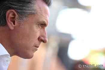 Newsom pledges increased spending on busting retail crime rings | TheHill - The Hill