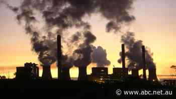 Labor announces 2030 emissions reductions target