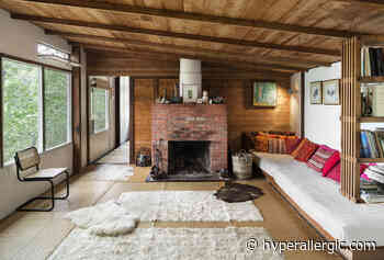 A Treasure Trove of Midcentury Modern Architecture - Hyperallergic