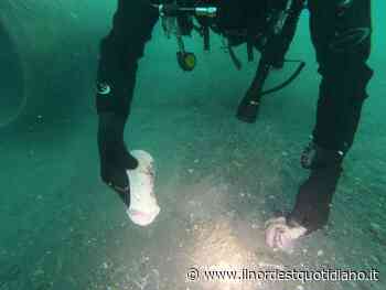 Lago di Garda sempre più inquinato dagli scarichi fognari: nuova denuncia del Wwf - Il NordEst Quotidiano