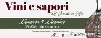 Vini e sapori del Garda, nella bassa bresciana - Popolis