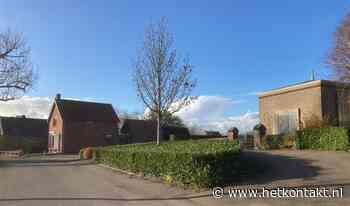 Plannen voor Anne Frank boom bij begraafplaats in Ottoland - Kontakt