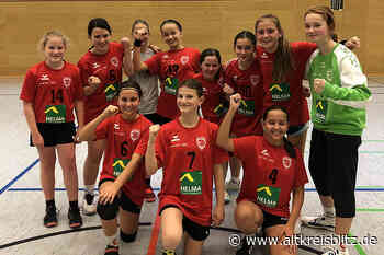 Handball-Mannschaften des TVE Sehnde gehen mit Siegen in die Zwangspause - AltkreisBlitz