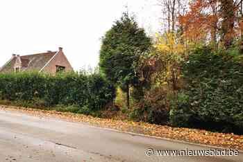 Gemeentebestuur wil Lintpoortenvoetweg heropenen: “Omdat vee... (Zemst) - Het Nieuwsblad