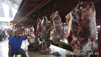 Demand for food in this country is expected to quadruple by 2050. So what does it mean for Australia?