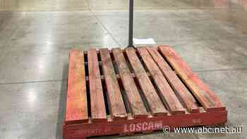 Supplies of toilet paper no problem, timber pallets to transport them another story