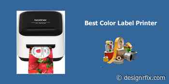 Best Color Label Printer Reviews