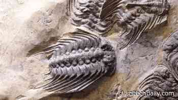 Volcanic Fertilization of the Oceans Drove Severe Mass Extinction – Reshaping the Course of Evolution of Life on Earth