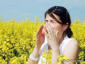 People With Allergic Conditions – Such As Hay Fever and Eczema – May Have a Lower Risk of COVID-19 Infection