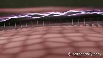 Regenerative Nanotransfection: Innovative Nanochip Can Reprogram Biological Tissue in Living Body