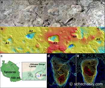 Archaeology Mystery Solved: Strange Footprints From Laetoli, Tanzania, Are From Early Humans