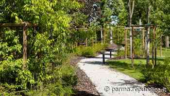 Dona a Parma nuove radici: raccolta fondi del KmVerde per quattro boschi urbani - La Repubblica