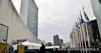 Palazzo di Vetro transennato, avvistato uomo armato - Gazzetta di Parma