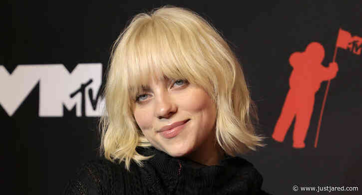 Billie Eilish Ditches Her Blonde Hair, Goes Back to Black - See the New Look!