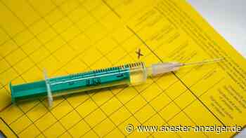 Soest/Werl - Tierärztin würde auch Menschen impfen - das sagen Zahnarzt und Apotheken-Mitarbeiterin - Soester Anzeiger