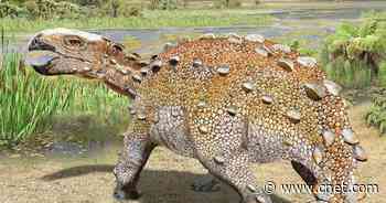 New dinosaur species unearthed in Chile had knives on its tail     - CNET