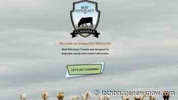Beef Advocacy Program helps producers beef-up communication with consumers - Lethbridge News Now