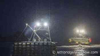 Dumping day: Lobster fishing season opens in southwestern Nova Scotia - Lethbridge News Now