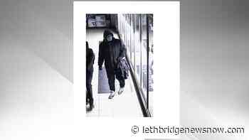 Lethbridge Police seeking suspect in south side break-in - Lethbridge News Now