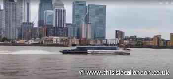 Is the Thames really that polluted?- Arjun Deepak, Wilson's School