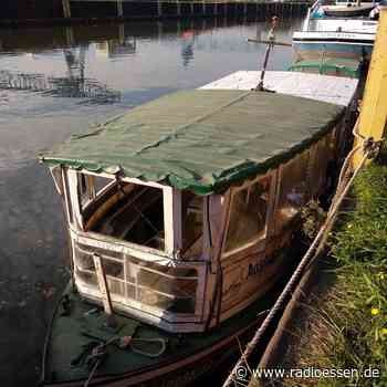 Moornixe aus Essen zu verschenken - Radio Essen