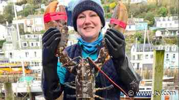 ‘He’s too big to eat!’ - Giant lobster worth £180 caught in Cornwall - ITV News