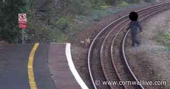 Police fire warning after people pictured on train tracks at Cornwall station - Cornwall Live