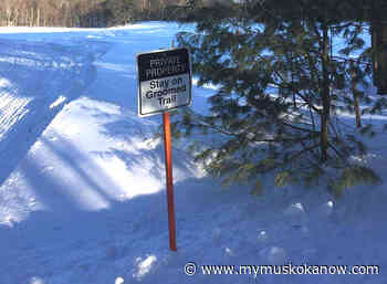 District committee approves new snowmobile trail in Port Carling - My Muskoka Now