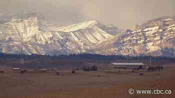Plans unveiled for Calgary to Cochrane section of Trans Canada Trail - CBC.ca