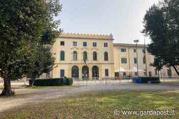 Bardolino, interventi per la manutenzione degli alberi di Parco Carrara e Parco Bassani - gardapost