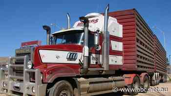 Diesel crisis threatens to grind Australia to a halt, transport industry warns