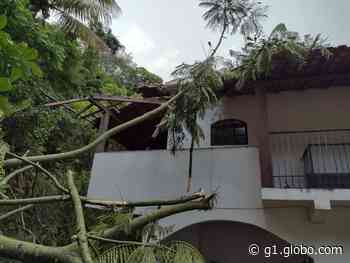 Árvore destrói parte de uma casa em Sumidouro, no RJ - G1