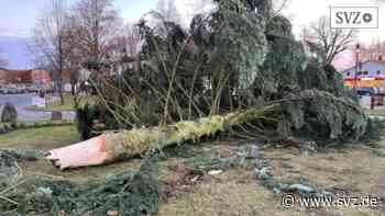 Sturm fegt über Parchim und Lübz: Orkantief „Daniel“ hält Feuerwehrleute stundenlang auf Trab | svz.de - svz.de