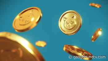Canadian Company Adds Shiba Inu Worth $1.5 Million to Balance Sheet: Here's Why
