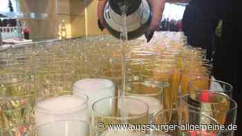 Ulm und Neu-Ulm sagen gemeinsamen Neujahrsempfang ab