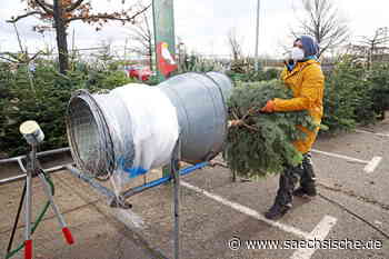 Riesa: Riesa: Früher Ansturm auf den Christbaum - Sächsische.de