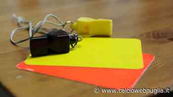 Verso Fidelis – Picerno, designato il Sig. Angelucci di Foligno - calcioWEBpuglia