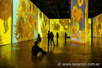Llega a Buenos Aires “Imagine Van Gogh”, la primera muestra de arte inmersiva del genial artista holandés - LA NACION