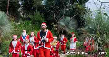 Things to do in Cornwall this weekend December 4 and 5 - Cornwall Live