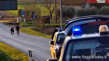 Una giovane madre morta sul colpo, la bimba messa in salvo dal padre: le drammatiche immagini sul luogo della tragedia - FoggiaToday