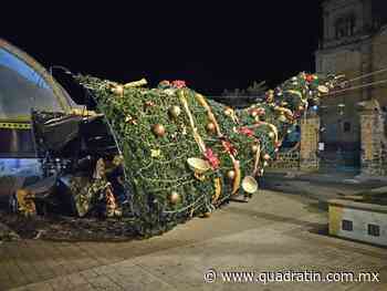 Se cae el árbol de Navidad de Zacapu; reprogramarán encendido - Quadratín Michoacán