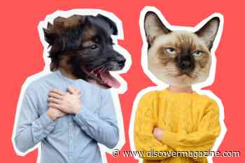 The Truth About Cat People and Dog People