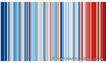 The Citizen Gardener: Bringing in the rain