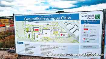 Konflikt im Kreistag - Kreisumlage erhitzt wieder mal die Gemüter - Schwarzwälder Bote