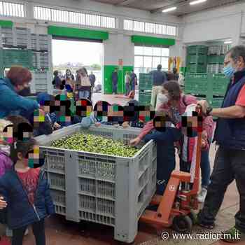 I piccoli della scuola dell'infanzia “Rogasi” di Pozzallo visitano frantoio | Radio RTM Modica - Radio RTM Modica