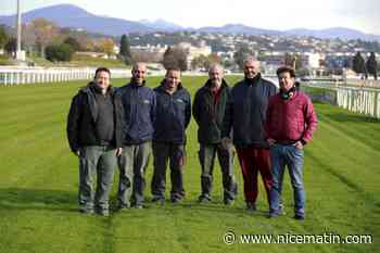 Comment l’hippodrome de Cagnes-sur-Mer chouchoute son gazon