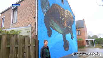 Prachtig: bever siert huis in Weggevoerdenstraat in Wilsele - ROB-tv