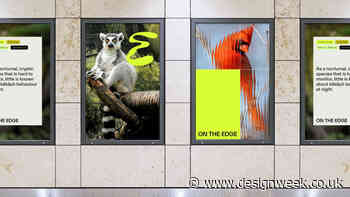 How&How crafts animalistic identity for conservation charity On the Edge