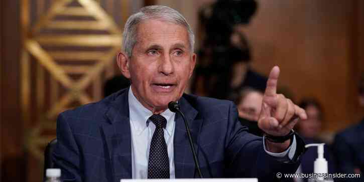 Fauci slams Fox News for not disciplining Lara Logan for comparing him to a Nazi doctor